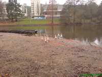 Der Deutschmühlenweiher Bild 7