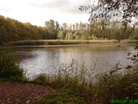 Der Saufangweiher Bild 4